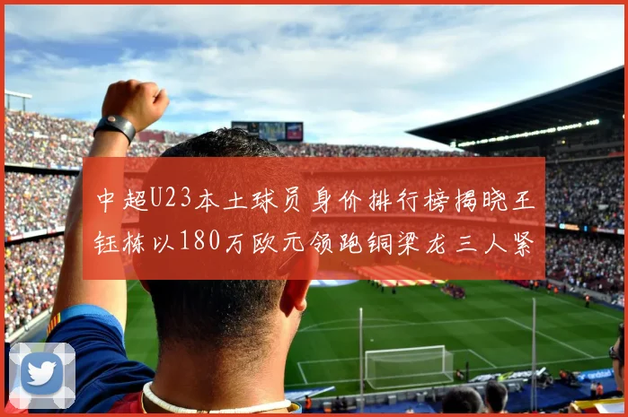 中超U23本土球员身价排行榜揭晓王钰栋以180万欧元领跑铜梁龙三人紧随其后