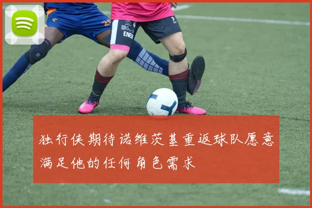 独行侠期待诺维茨基重返球队愿意满足他的任何角色需求