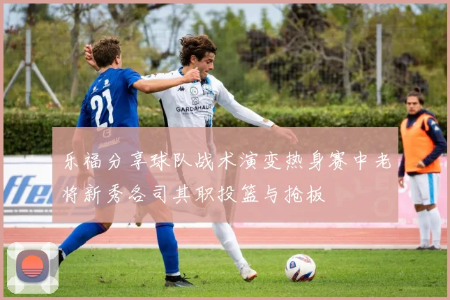 乐福分享球队战术演变热身赛中老将新秀各司其职投篮与抢板